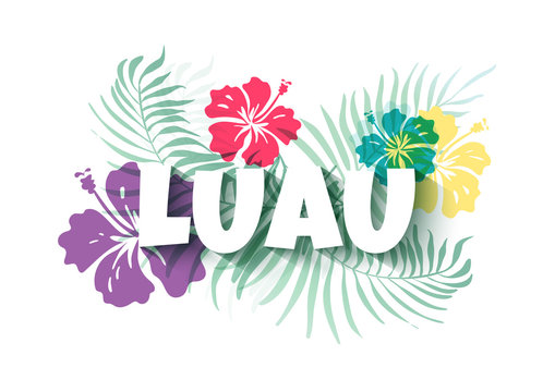  Aloha Kindergarten!
