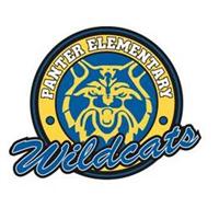 panter es 