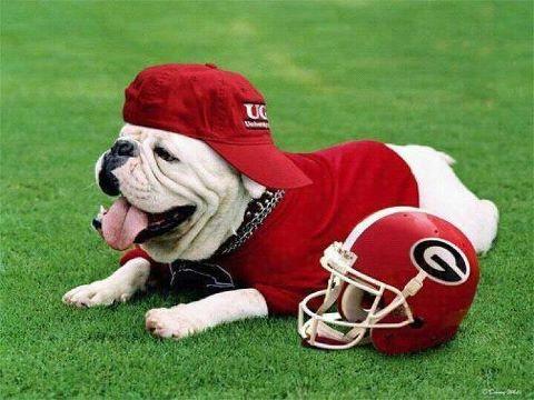 Ugga the bulldog at Sanford Standium