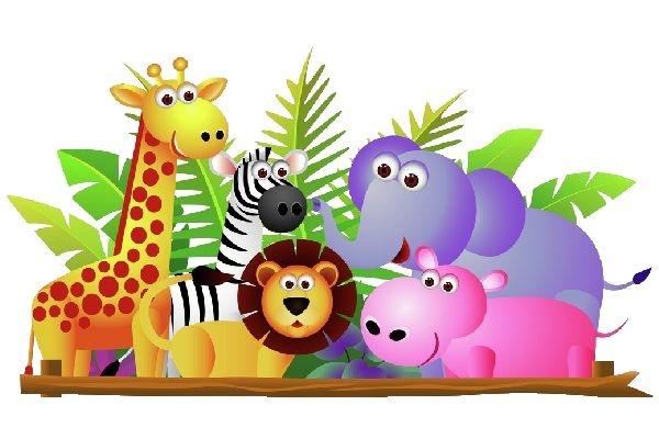 Wild Animal Pictures